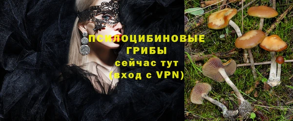 стафф Красноперекопск