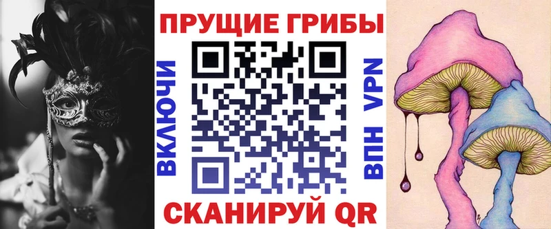 Галлюциногенные грибы Cubensis  Ленинградская 